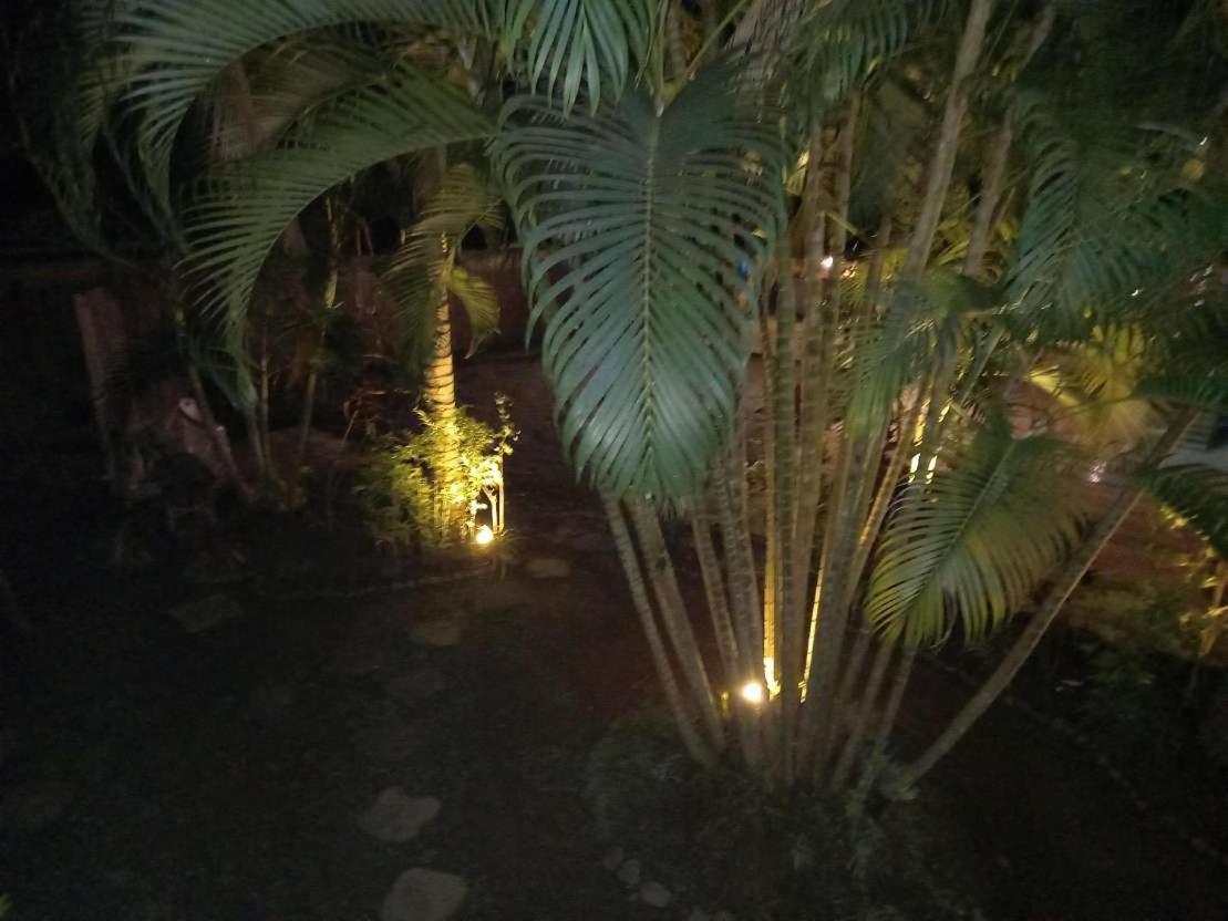 Oasis Palms Hotel Nadi Buitenkant foto